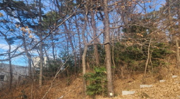 전남 여수시 해산동 의료시설 경매 물건 사진 5 · 2025타경709