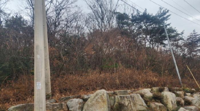 전남 여수시 해산동 의료시설 경매 물건 사진 6 · 2025타경709