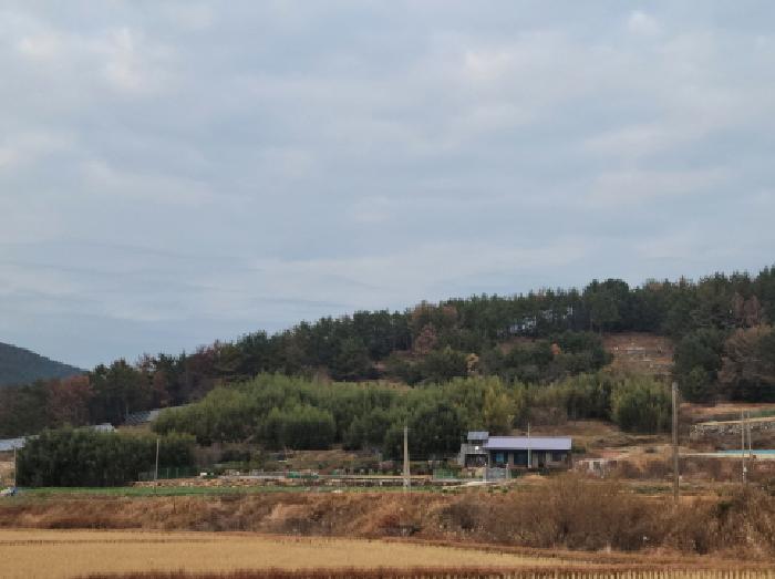 전남 여수시 돌산읍 임야 경매 물건 사진 5 · 2025타경710
