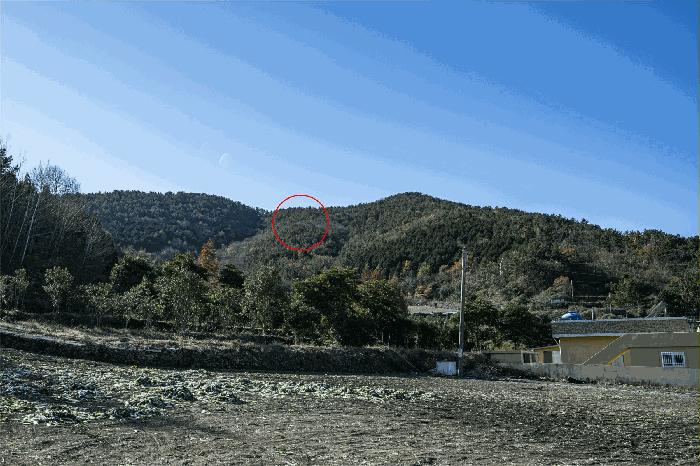 전남 여수시 돌산읍 임야 경매 물건 사진 2 · 2025타경710