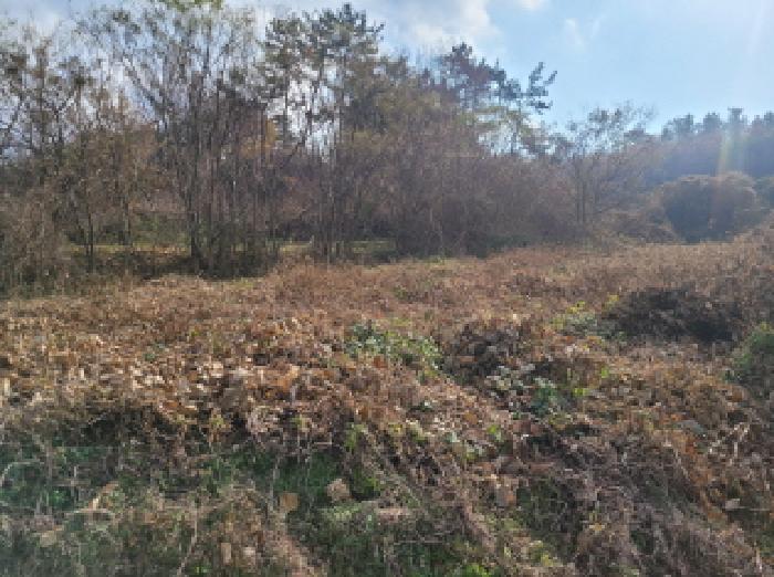 전남 고흥군 도덕면 전 경매 물건 사진 3 · 2025타경718