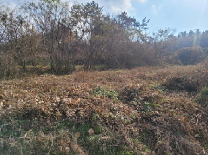 전남 고흥군 도덕면 전 경매 물건 사진 6 · 2025타경718