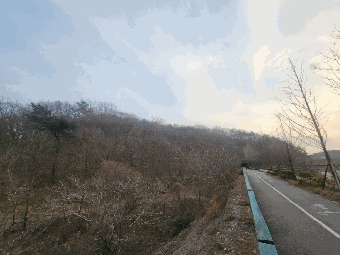 전라남도 광양시 광양읍 세풍리 산128-2 임야 경매 물건 사진