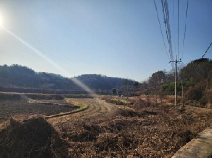 전남 광양시 광양읍 임야 경매 물건 사진
