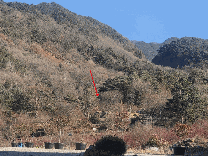 전라남도 구례군 산동면 탑정리 504 답 경매 물건 사진