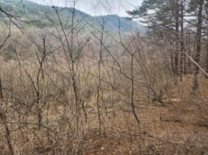 전남 구례군 산동면 답 경매 물건 사진 2 · 2025타경730