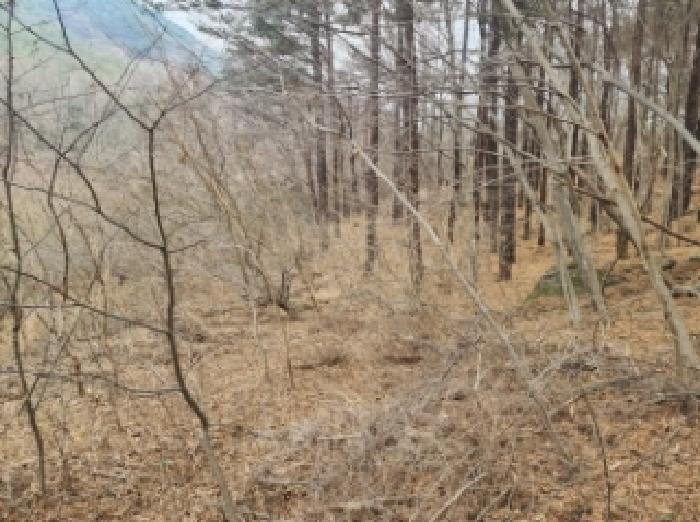 전남 구례군 산동면 답 경매 물건 사진 4 · 2025타경730