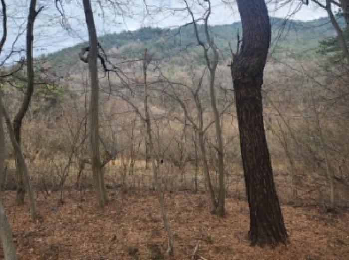 전남 구례군 산동면 답 경매 물건 사진