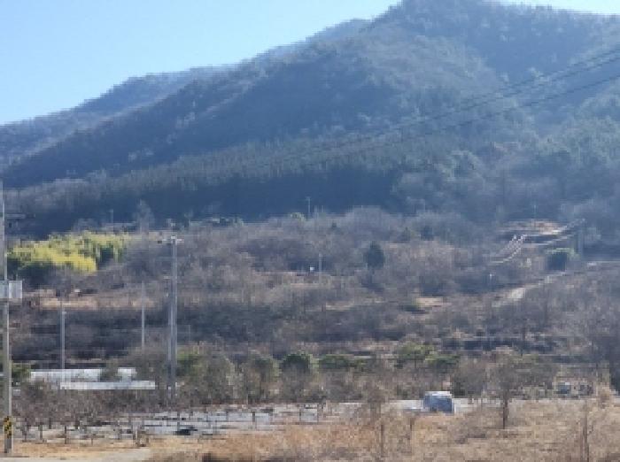 전남 여수시 남면 전 경매 물건 사진 3 · 2025타경731