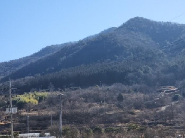 전남 여수시 남면 전 경매 물건 사진 6 · 2025타경731