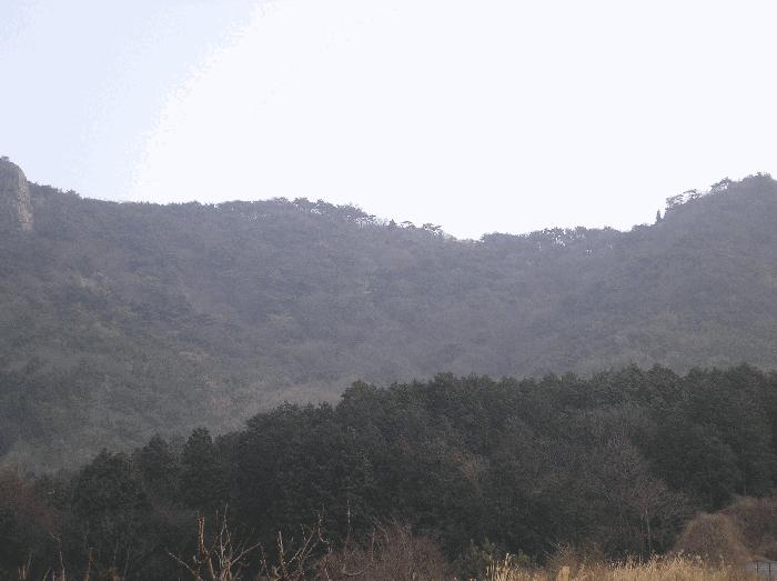 전남 여수시 남면 전 경매 물건 사진
