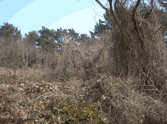 전남 여수시 남면 전 경매 물건 사진 4 · 2025타경731