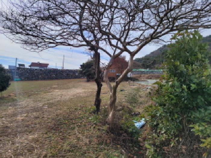 전남 고흥군 남양면 답 경매 물건 사진 4 · 2025타경732