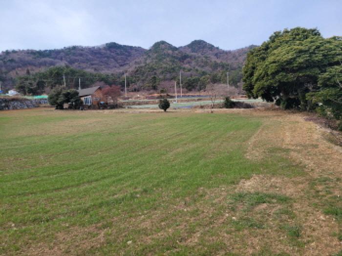 전남 고흥군 남양면 답 경매 물건 사진 6 · 2025타경732