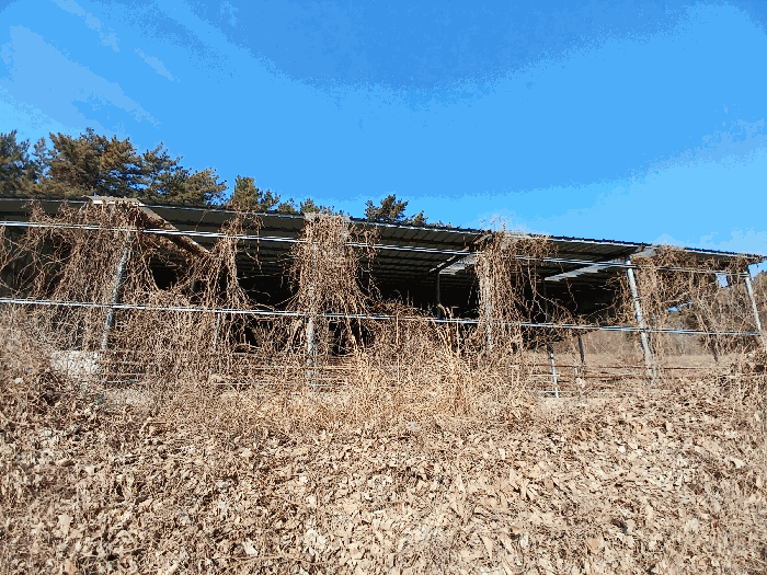 전남 고흥군 풍양면 동물및식물관련시설 경매 물건 사진 5 · 2025타경740