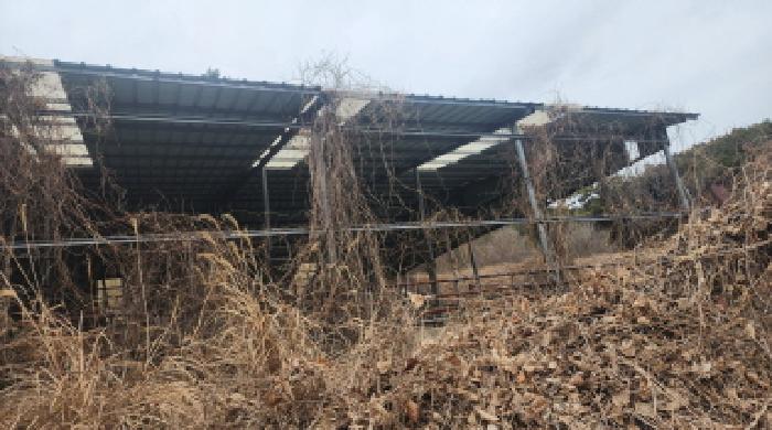 전남 고흥군 풍양면 동물및식물관련시설 경매 물건 사진 3 · 2025타경740