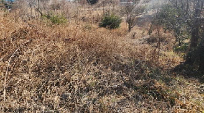 전남 고흥군 봉래면 전답 경매 물건 사진