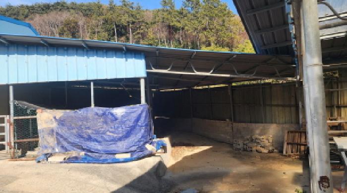 전남 고흥군 봉래면 전답 경매 물건 사진 3 · 2025타경753