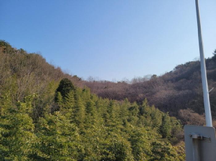 전남 광양시 황금동 임야 경매 물건 사진