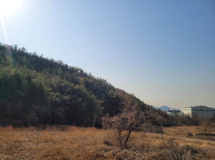 전남 광양시 황금동 임야 경매 물건 사진 3 · 2025타경757