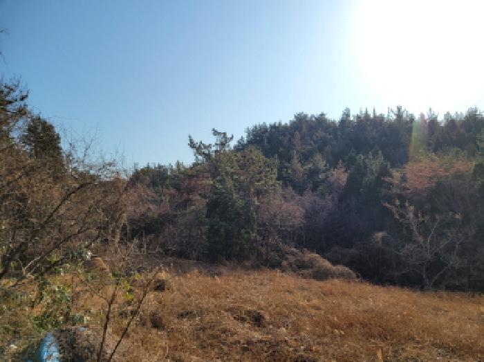전남 광양시 황금동 임야 경매 물건 사진 5 · 2025타경757