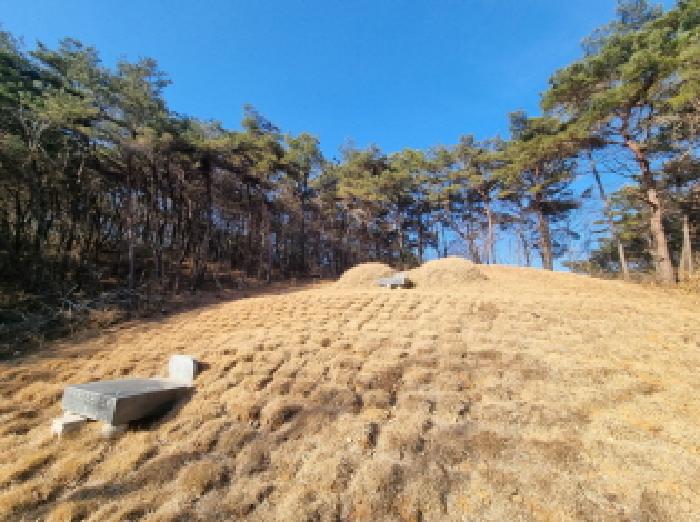 전남 순천시 주암면 임야 경매 물건 사진 4 · 2026타경10