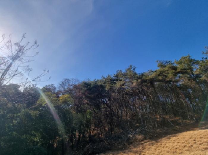 전남 순천시 주암면 임야 경매 물건 사진 5 · 2026타경10