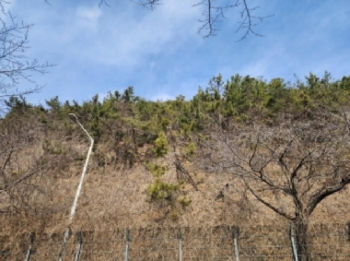 전남 순천시 왕지동 임야 경매 물건 사진 2 · 2026타경11