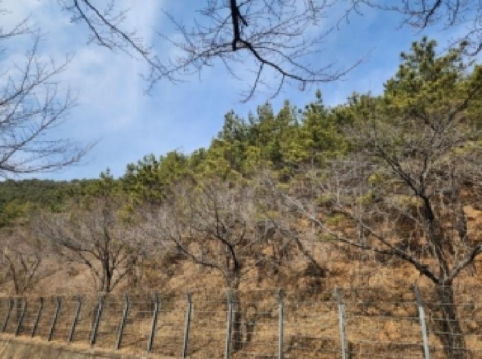 전남 순천시 왕지동 임야 경매 물건 사진 6 · 2026타경11