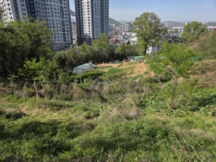 전남 순천시 연향동 임야 경매 물건 사진 5 · 2026타경110