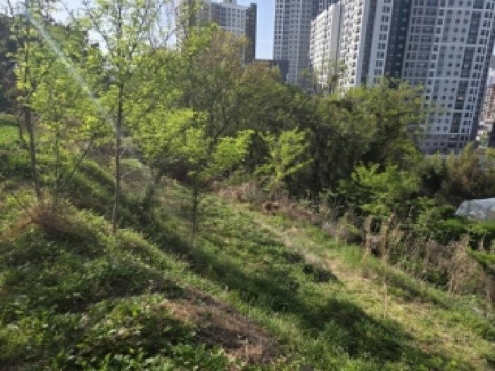 전남 순천시 연향동 임야 경매 물건 사진 6 · 2026타경110