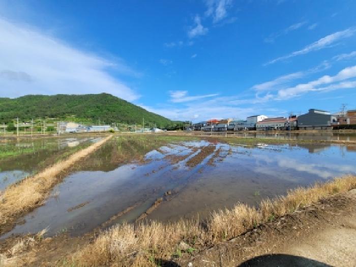 전남 고흥군 풍양면 전답 경매 물건 사진 2 · 2026타경120