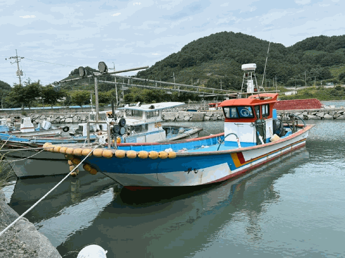 전라남도 보성군 회천면 선박 경매 물건 사진 3 · 2026타경133