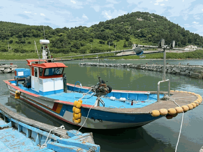 전라남도 보성군 회천면 선박 경매 물건 사진 6 · 2026타경133