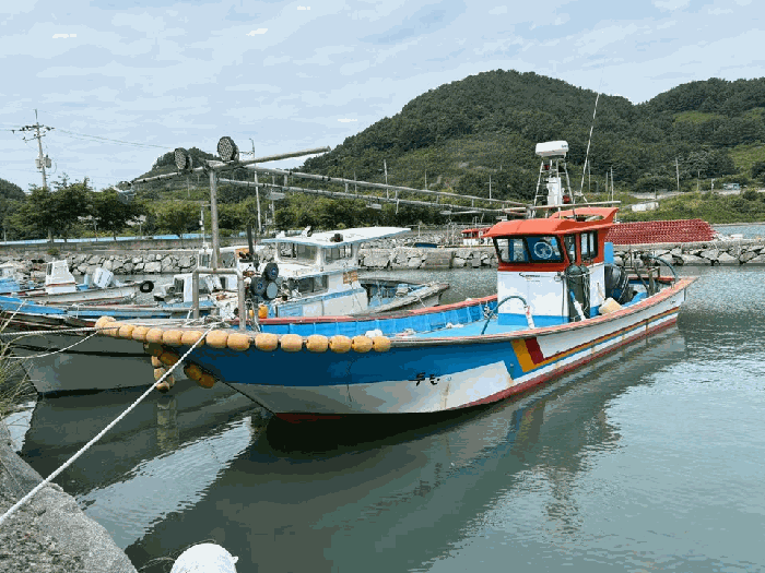 전라남도 보성군 회천면 선박 경매 물건 사진
