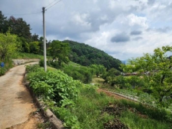 전남 여수시 화양면 전답 경매 물건 사진