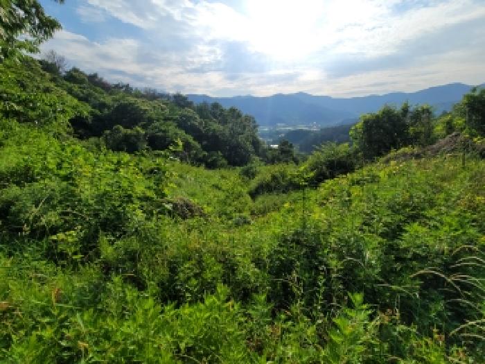 전남 광양시 옥룡면 임야 경매 물건 사진 5 · 2026타경136