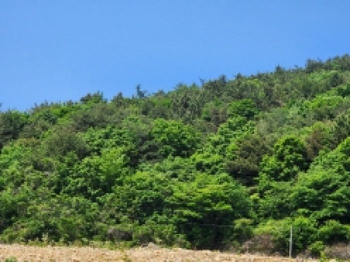 전남 고흥군 영남면 임야 경매 물건 사진 2 · 2026타경147