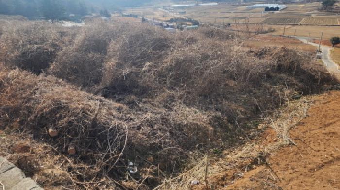 전남 고흥군 도화면 답 경매 물건 사진