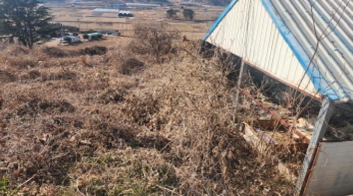 전남 고흥군 도화면 답 경매 물건 사진 3 · 2026타경17