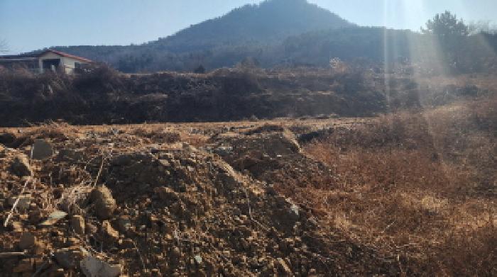 전남 고흥군 도화면 답 경매 물건 사진 6 · 2026타경17