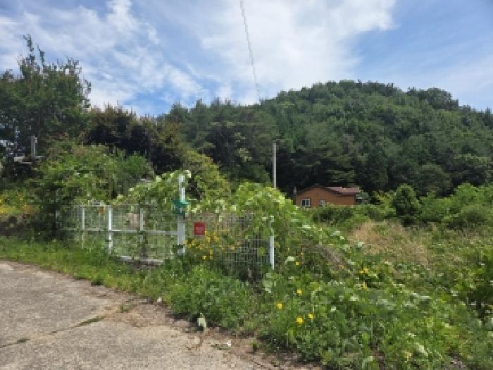 전남 순천시 월등면 단독주택다가구 경매 물건 사진