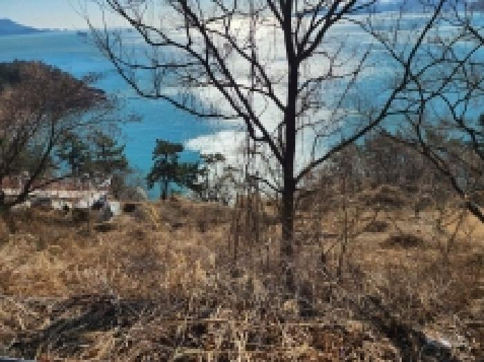 전남 여수시 돌산읍 임야 경매 물건 사진