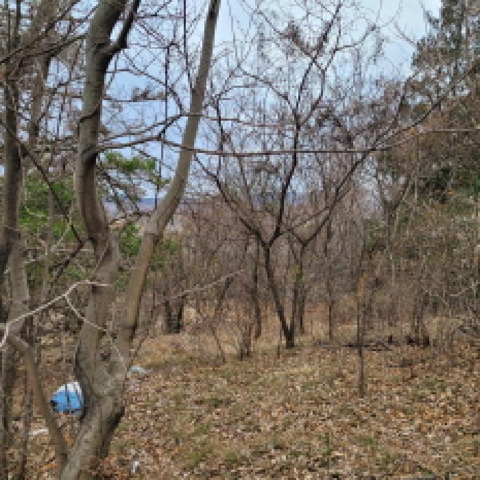 전남 여수시 율촌면 전답 경매 물건 사진 6 · 2026타경41