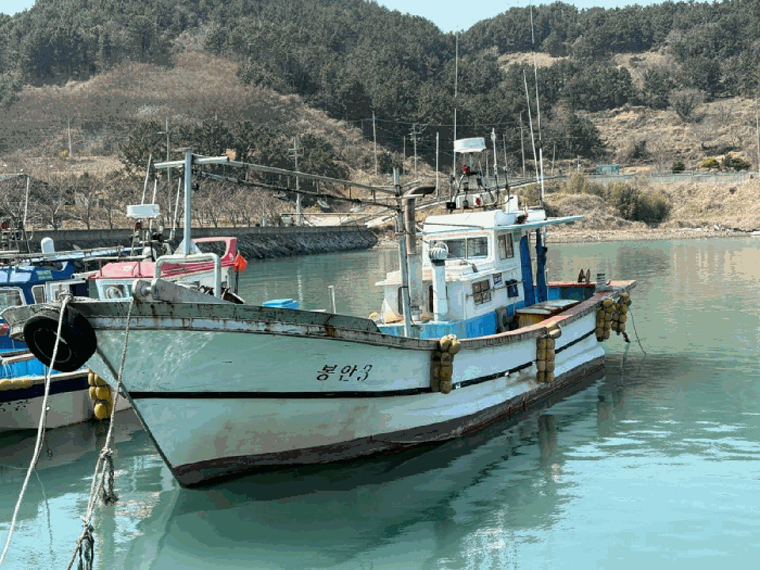 전라남도 고흥군 도양읍 자동차,중기 경매 물건 사진
