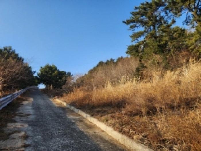전남 여수시 돌산읍 전 경매 물건 사진