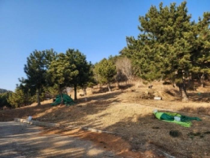 전남 여수시 돌산읍 전 경매 물건 사진 2 · 2026타경5