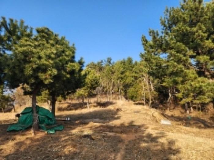 전남 여수시 돌산읍 전 경매 물건 사진 3 · 2026타경5