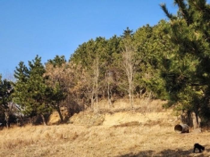 전남 여수시 돌산읍 전 경매 물건 사진 4 · 2026타경5
