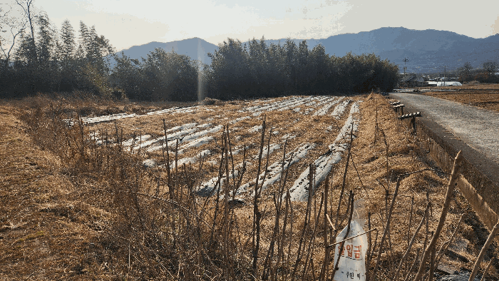 전라남도 구례군 광의면 대전리 475 전 경매 물건 사진